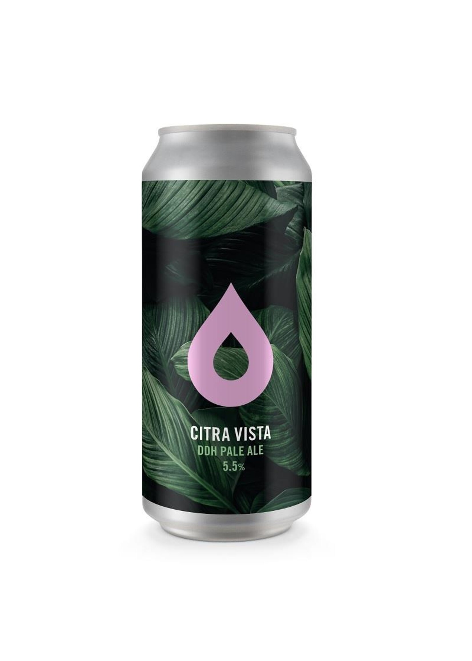 Pollys Polly's Brew - Citra Vista - 44cl