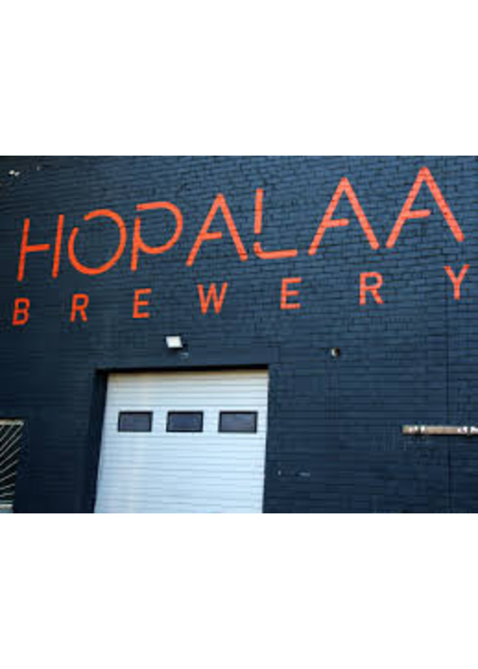 Arpus LATVIAN CRAFT BEER BONANZA - Hopalaa & Arpus NEW ARRIVALS HUGE MEGA 18-PACK - 18x44cl