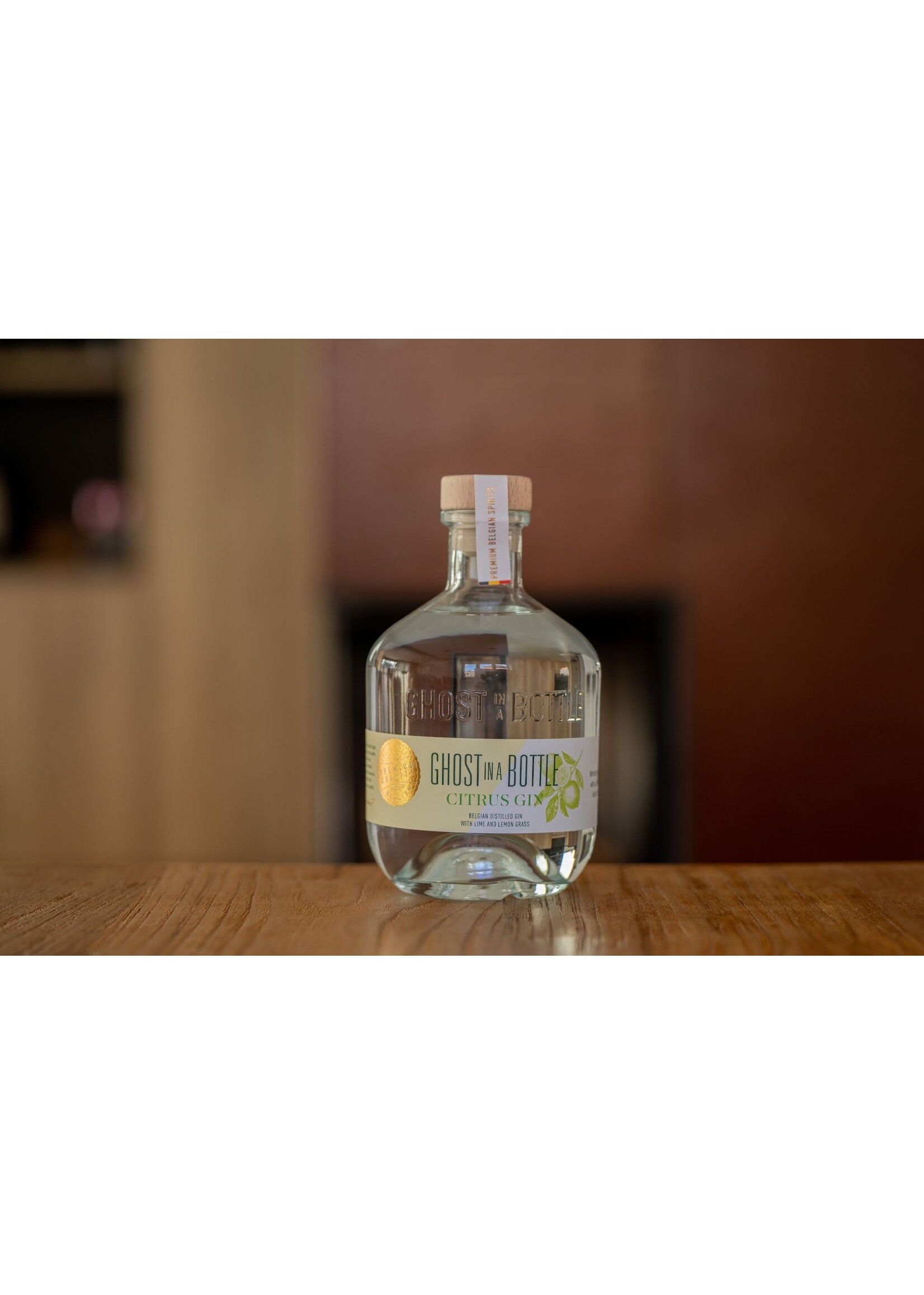 Ghost in a Bottle Ghost in a bottle - Citrus Gin - 70cl