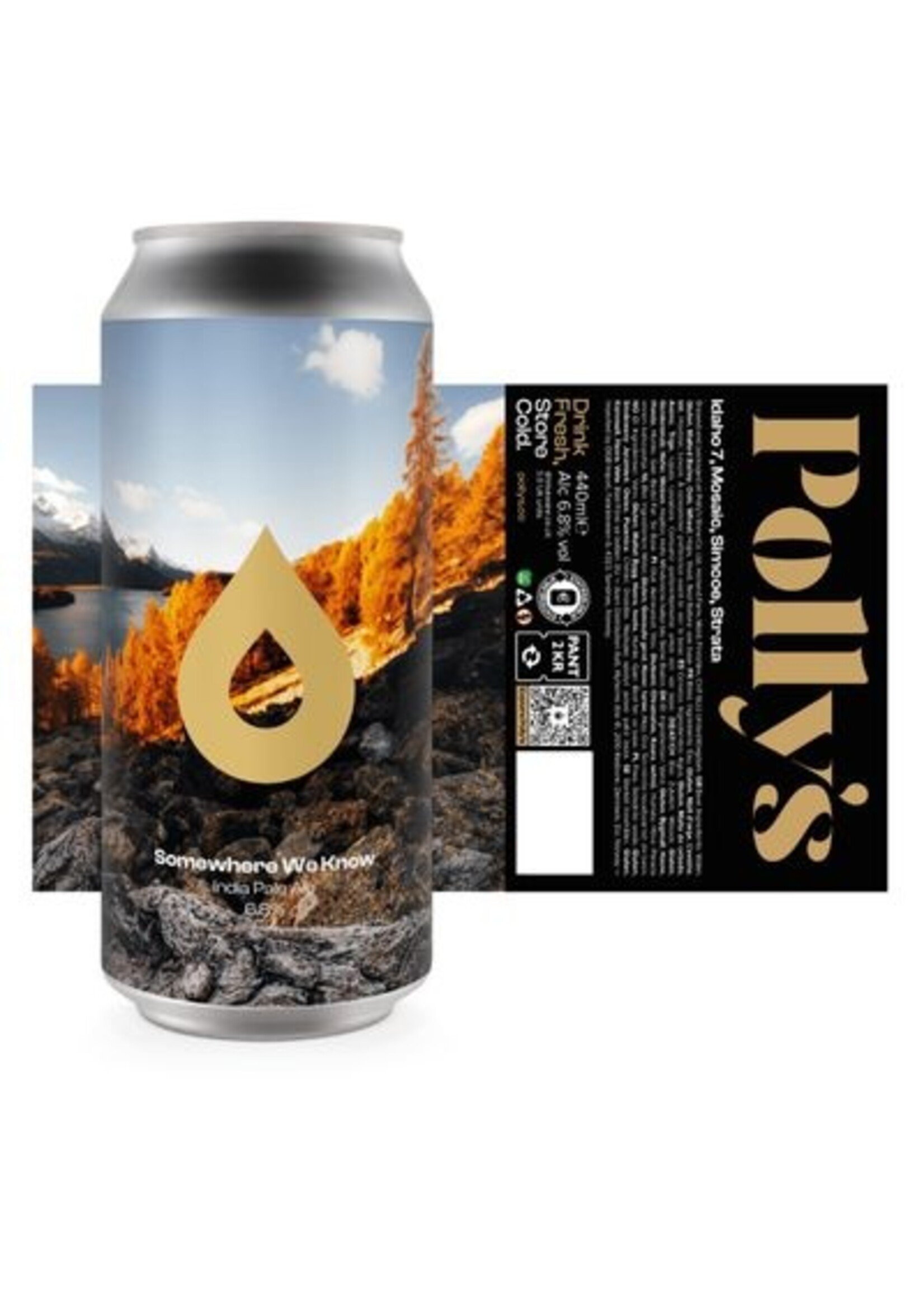 Pollys Polly's Brew - Somewhere We Know - 44cl