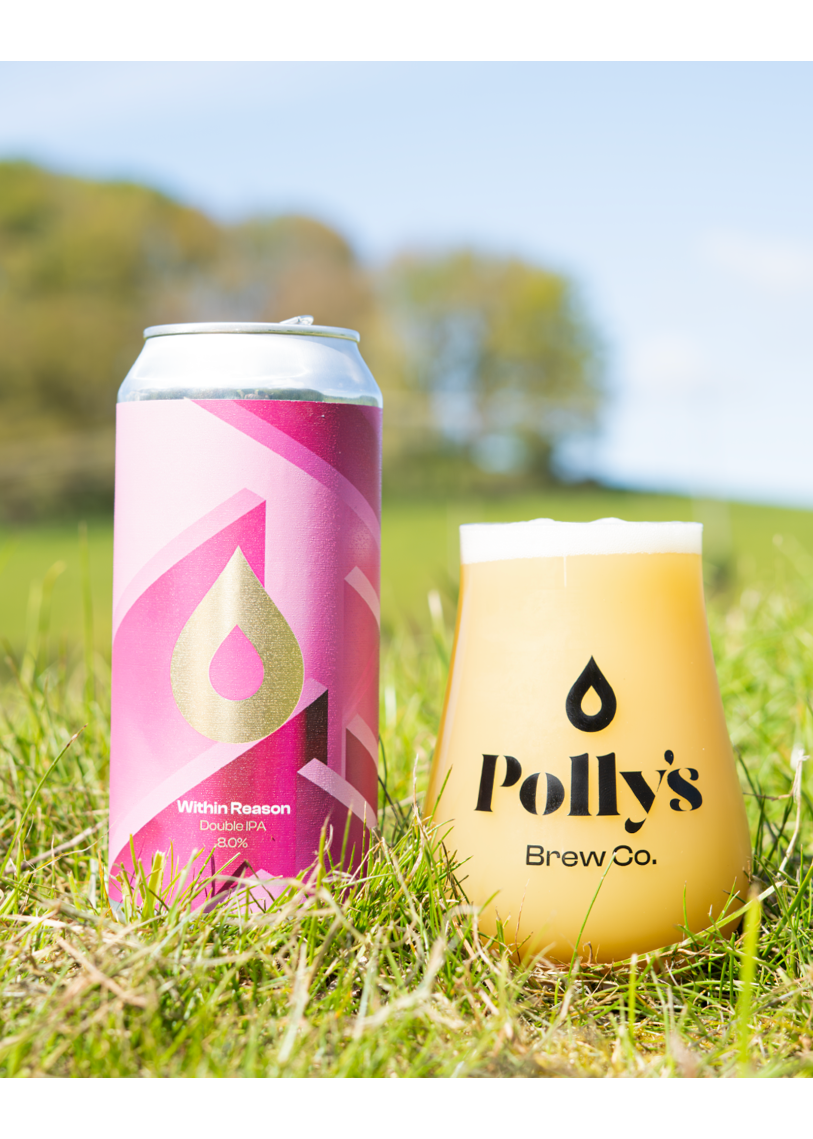 Pollys Polly's Brew - Within Reason - 44cl