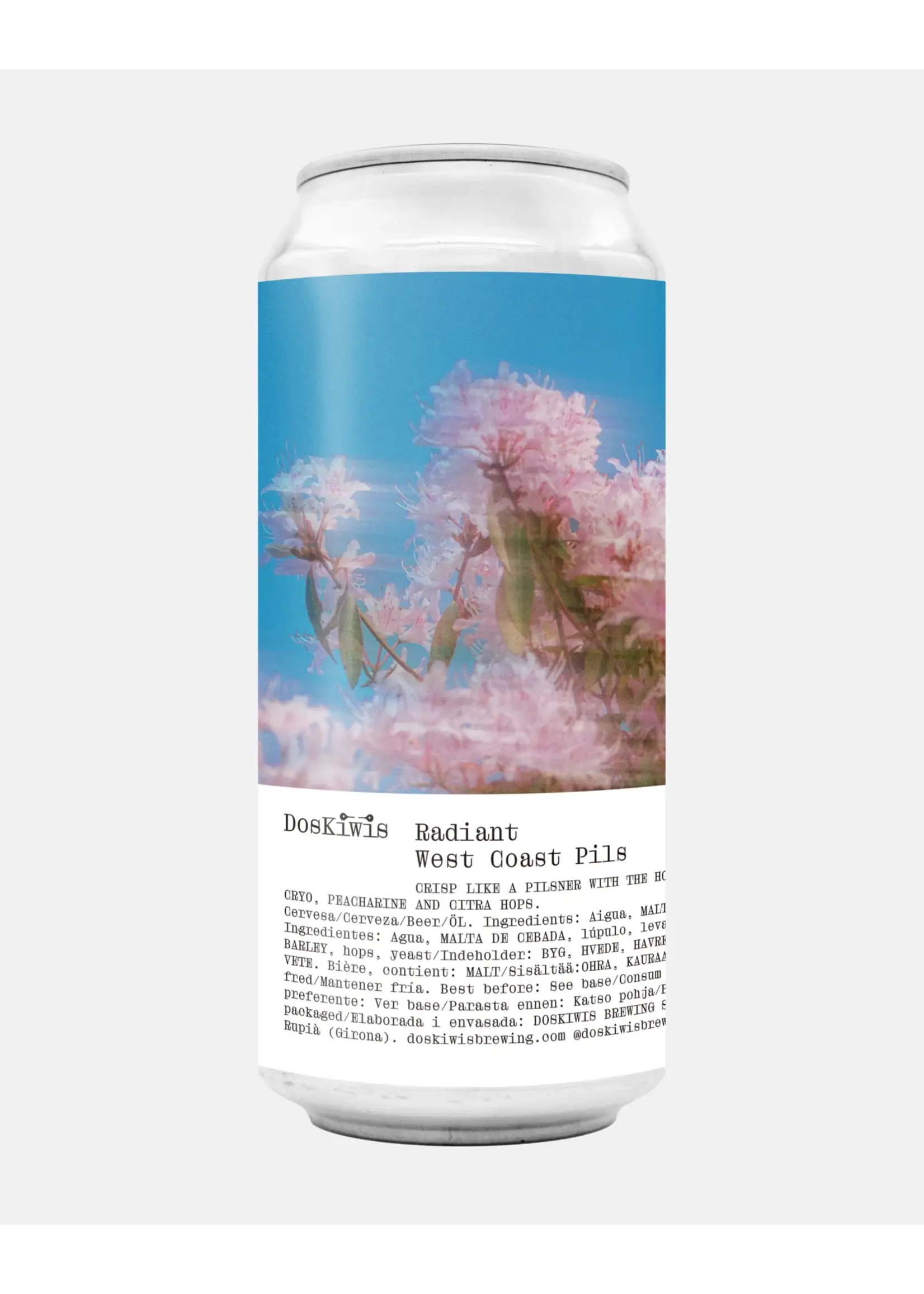 Doskiwis Brewing Doskiwis Brewing - Radiant - 44cl