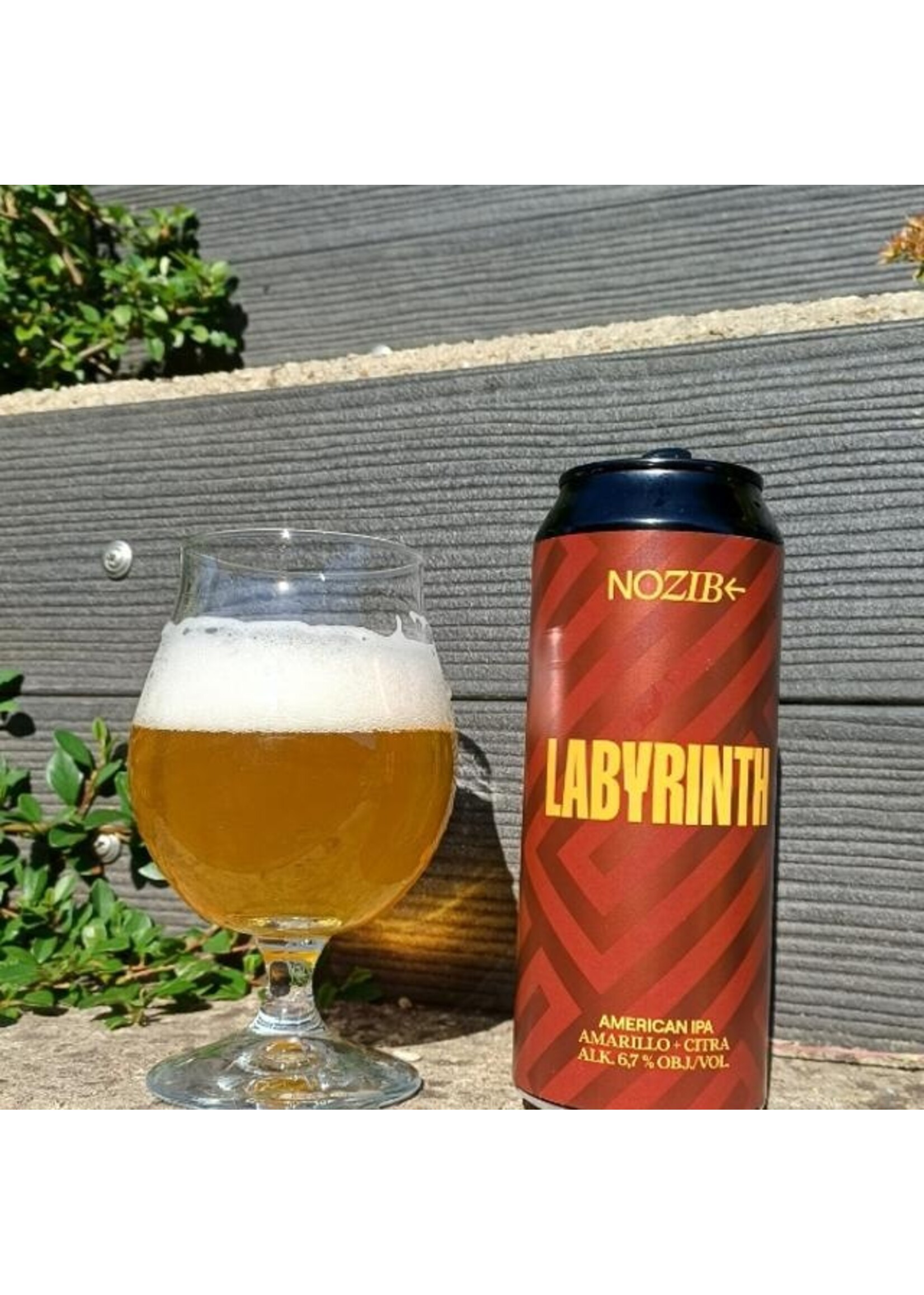 NOZIB NOZIB Brews - Labyrinth American IPA Amarillo + Citra - 50cl