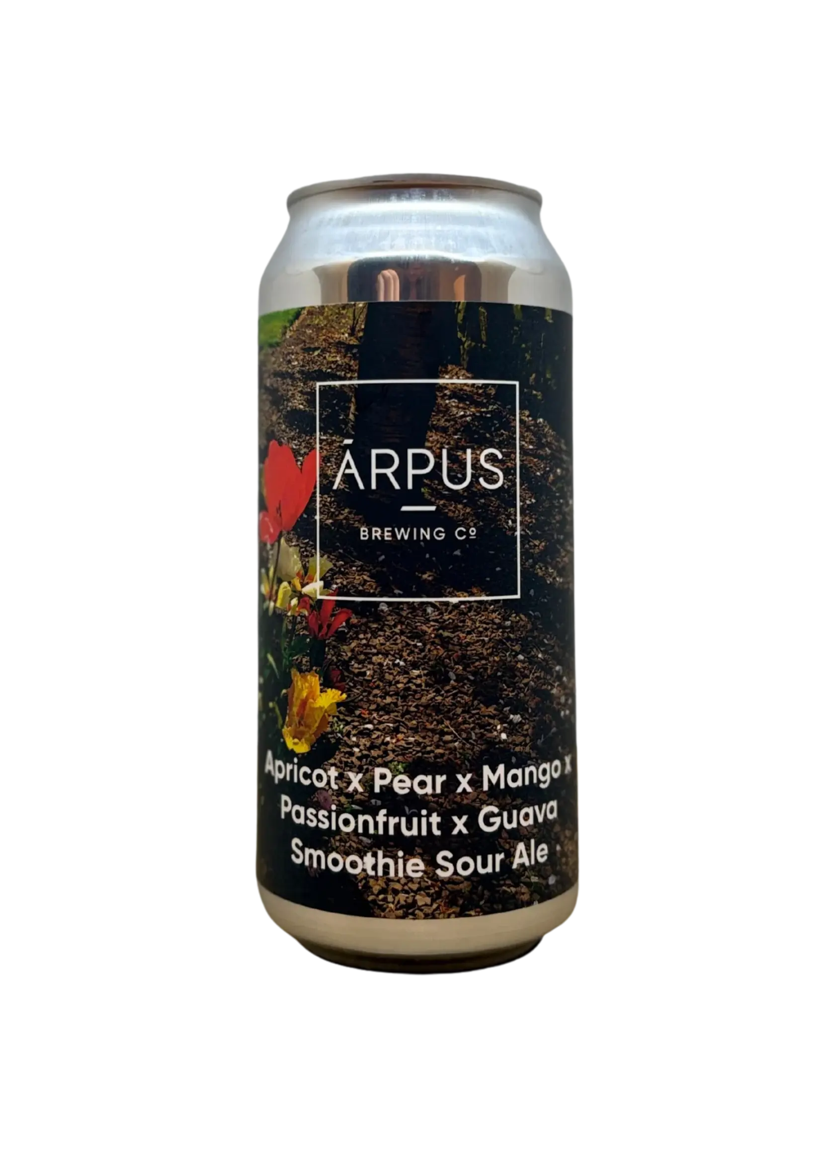 Arpus Arpus - Apricot x Pear x Mango x Passionfruit x Guava Smoothie Sour Ale - 44cl