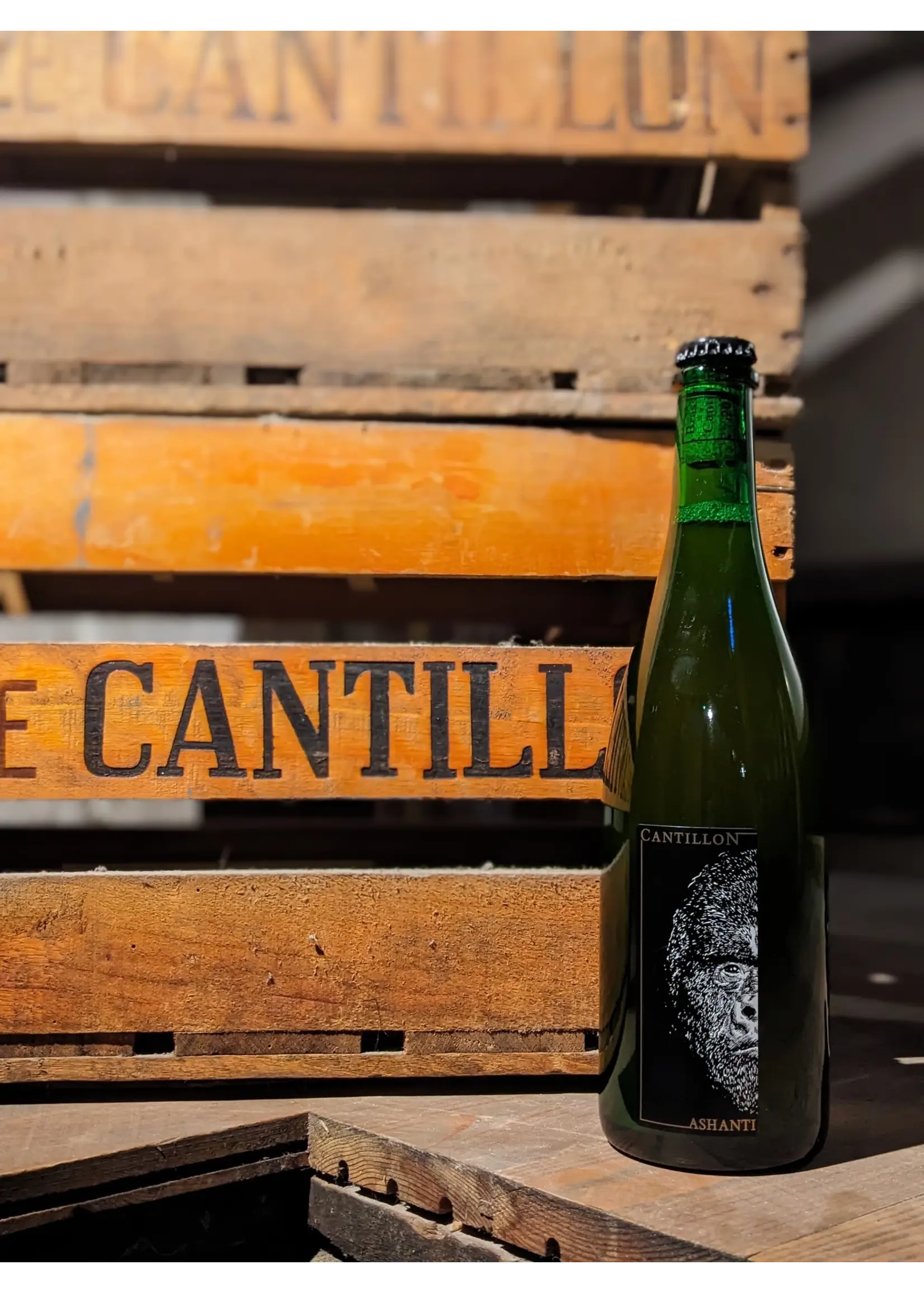 Cantillon Cantillon - Enthusiasts pack (incl Ashanti 2026, Iris, GCB, Gueuze) - 4x75cl