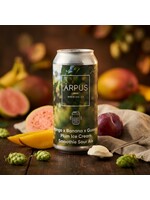 Arpus Arpus - Mango x Banana x Guava x Plum Ice Cream Smoothie Sour Ale - 44cl
