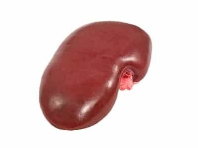 Boeren in het Bos Nier Bosvarken