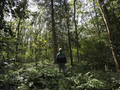 Privé Rondleiding Boeren in het Bos