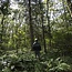 Privé Rondleiding Boeren in het Bos