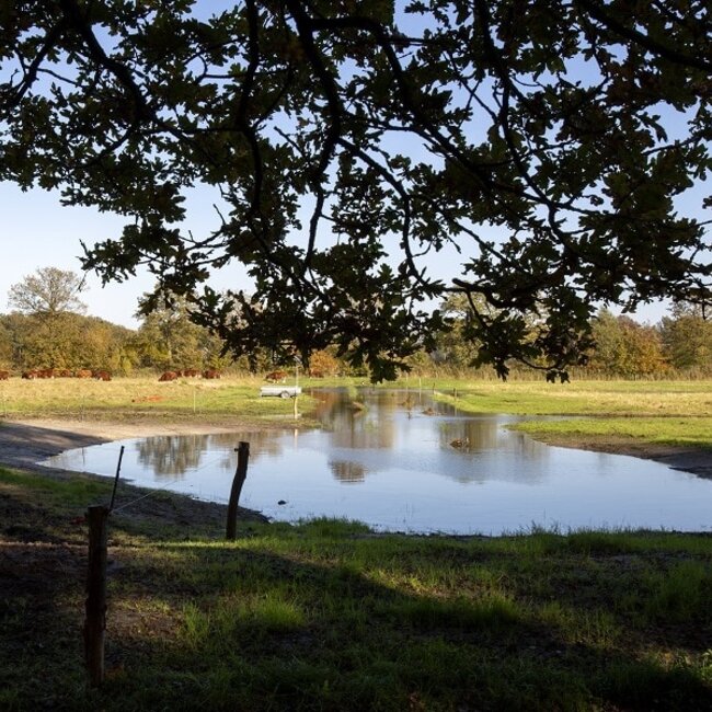 Privé Rondleiding Boeren in het Bos