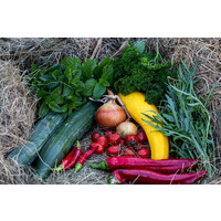 Zelfoogsttuin aandeel 2026