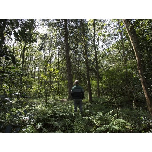 Rondleiding Boeren in het Bos