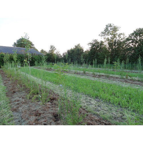 Training Regeneratieve Landbouw met Jos Willemsen  5 t/m 9 juli 2024