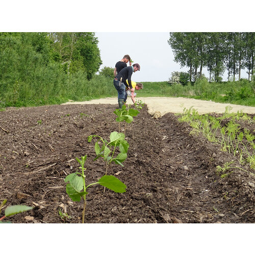 Trainingsweekend Enten & Planten 22-23 maart 2024 Trainingsweekend Enten & Planten 22-23 maart 2024