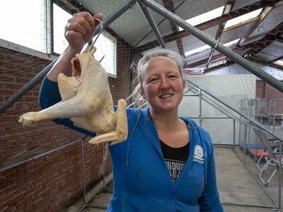 Workshop Zelf een Kip Slachten