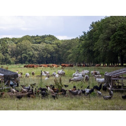 Dagcursus Regeneratieve landbouw