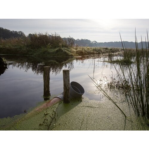 Dagcursus Regeneratieve landbouw