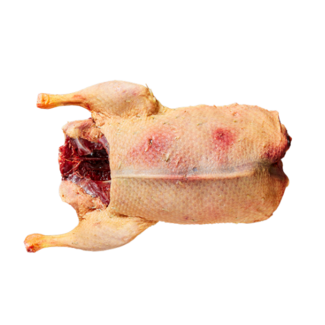Moormann Wilde eend panklaar