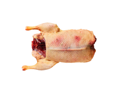 Moormann Wilde eend panklaar