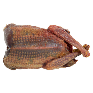 Moormann Houtduif panklaar