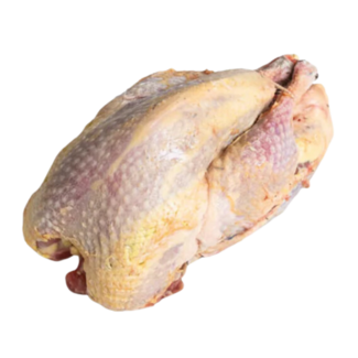 Moormann Fazant panklaar