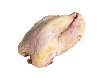 Moormann Fazant panklaar