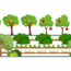 Doneer een boom voor de Agroforestry