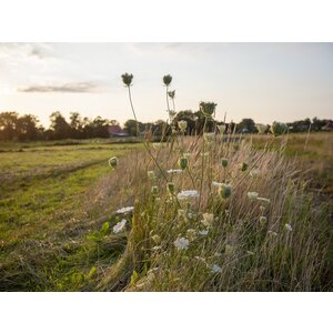 Webinar Natuurlijke Landbouw Introductie
