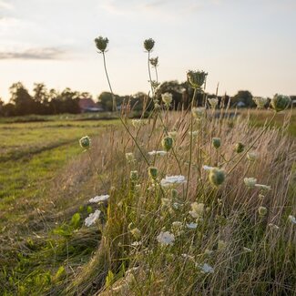Webinar Natuurlijke Landbouw Introductie