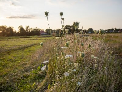 Webinar Natuurlijke Landbouw Introductie