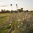 Webinar Natuurlijke Landbouw Introductie