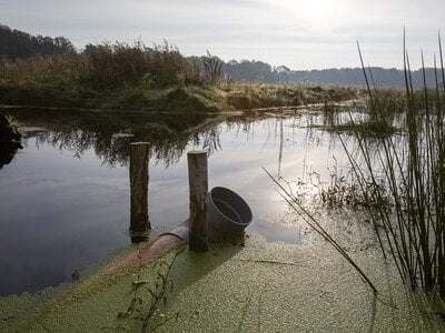 LIVE Webinar Water inzetten als drager van regeneratie