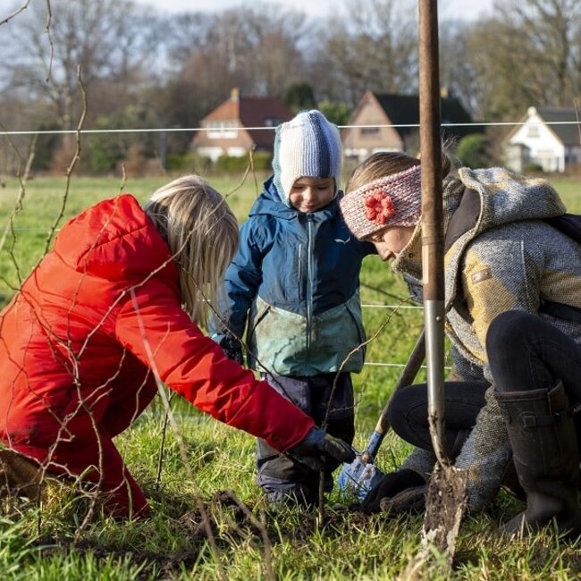 Webinar Agroforestry - Meerwaarde van bomen in een natuurlijk landbouwsysteem - Replay Webinar