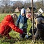Webinar Agroforestry - Meerwaarde van bomen in een natuurlijk landbouwsysteem - Replay Webinar