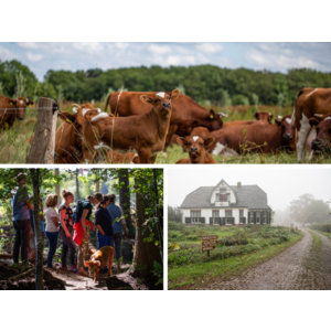 Webinar Het nieuwe gemengde bedrijf