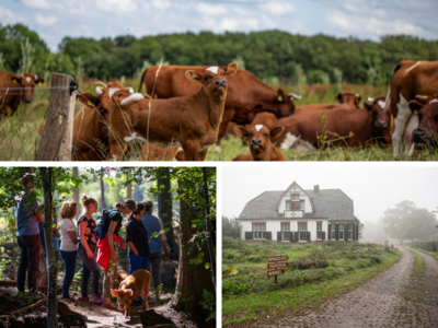 Webinar Het nieuwe gemengde bedrijf