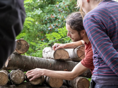 Webinar Paddenstoelen teelt en opbrengst