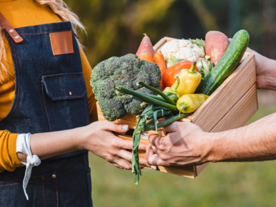 Webinar Regeneratieve (zelfoogst)tuin beginnen