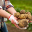 Webinar Regeneratieve (zelfoogst)tuin beginnen | Replay webinar