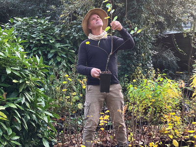 Workshop - Van Bos naar Agroforestry Systeem Workshop - Van Bos naar Agroforestry Systeem