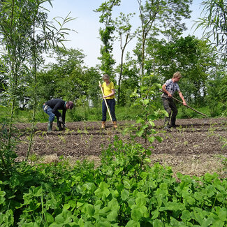 Workshop - Succesvol Bomen Planten