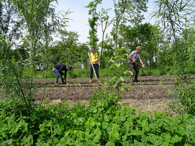 Workshop - Succesvol Bomen Planten Workshop - Succesvol Bomen Planten