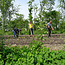 Workshop - Succesvol Bomen Planten