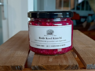 Vitamine Aarde Rode Kool Kimchi