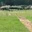 Webinar Introductie Syntropische Landbouw - Replay Webinar