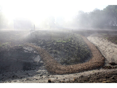 Workshop - Agroforestry Ontwerpen