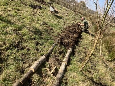Workshop - Van Weide naar Agroforestry Systeem