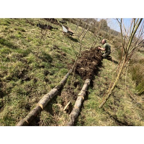 Workshop - Van Weide naar Agroforestry Systeem Workshop - Van Weide naar Agroforestry Systeem