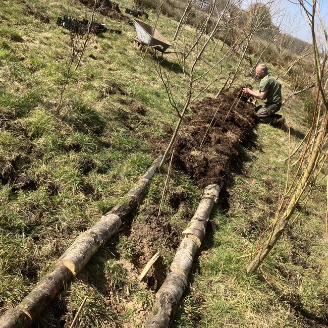 Workshop - Van Weide naar Agroforestry Systeem
