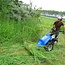 Workshop - Van Weide naar Agroforestry Systeem